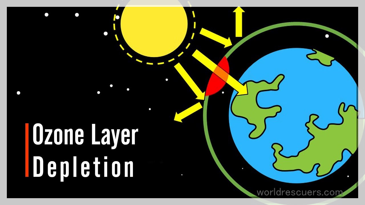 Ozone Layer Depletion And Its Effects