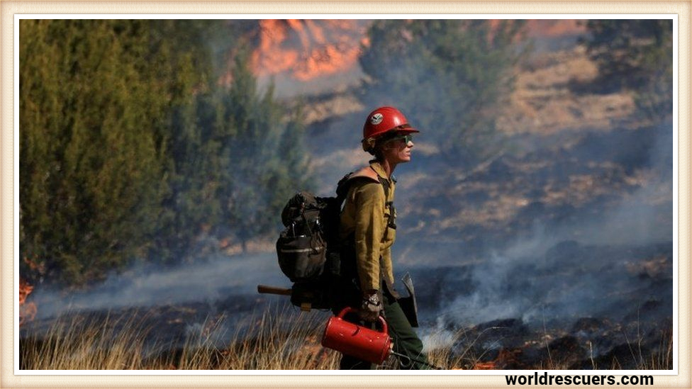 Calf Canyon Fire