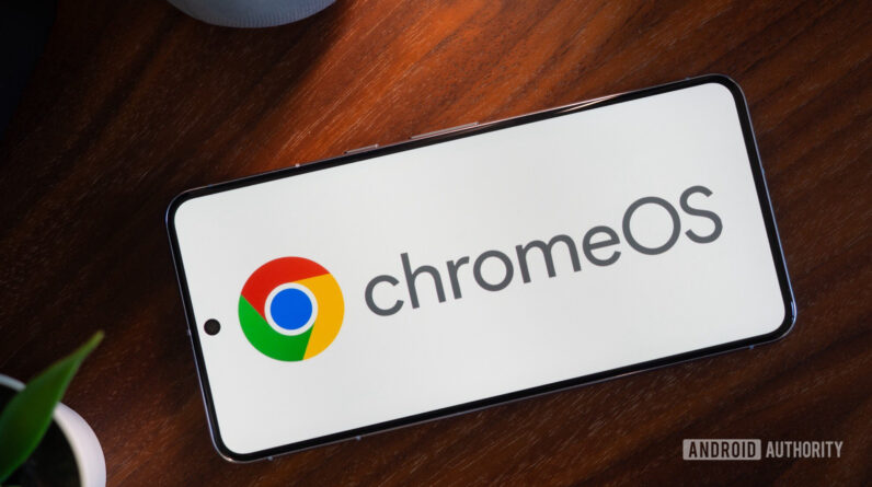 chrome os